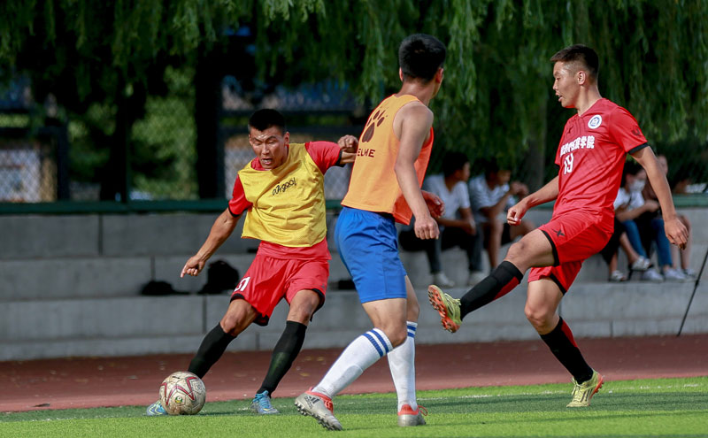 控制动作将 控制动作将